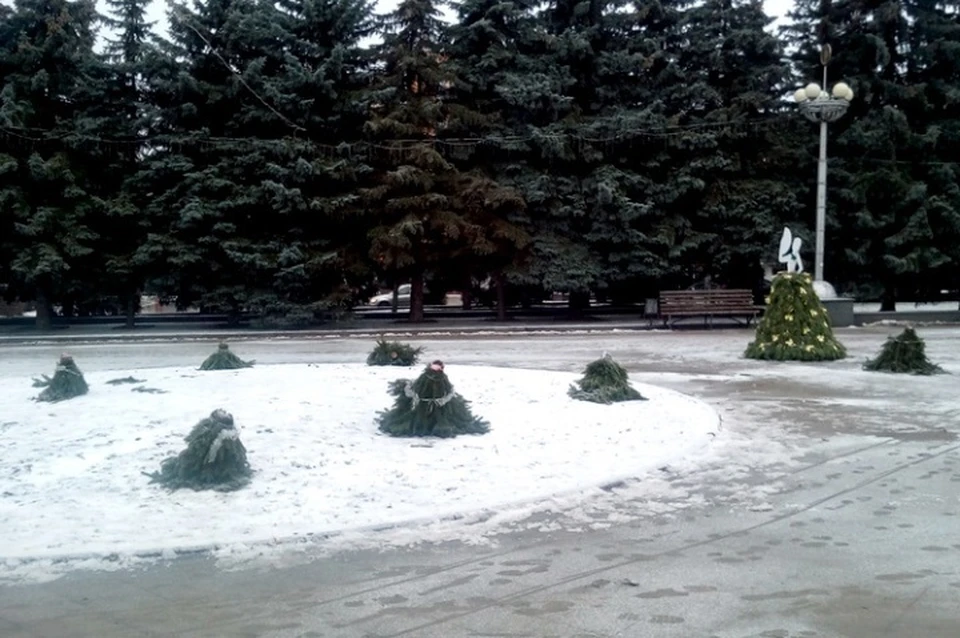 Фото: "Наш Брянск".