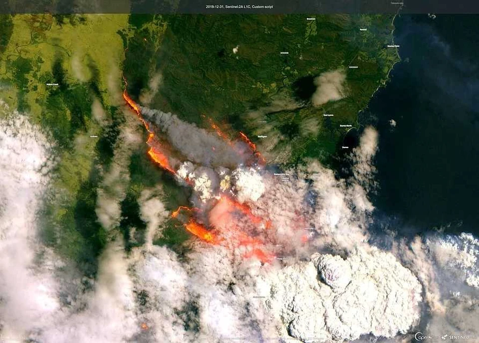 Огромная часть Австралии оказалась в огне лесных пожаров.