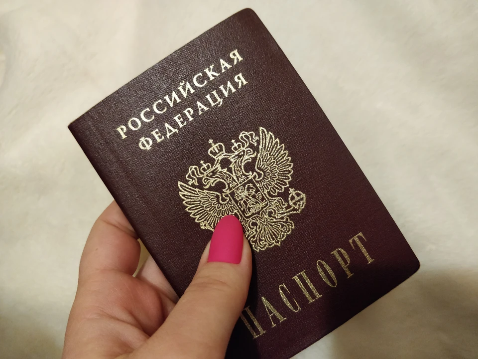В ведомстве также уточнили, что за весь год отклонили одну заявку, остальные находятся на стадии рассмотрения