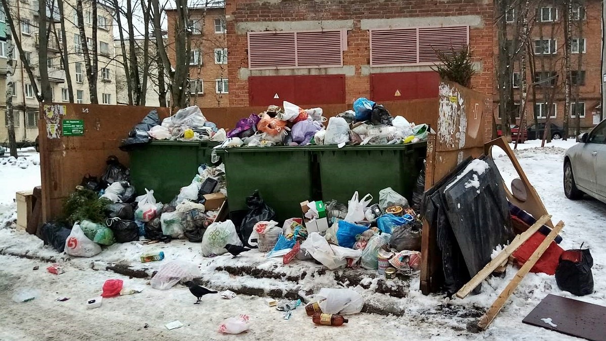 Куда владимирцам жаловаться, если мусор во дворе не вывозят, а контейнеры  убрали - KP.RU