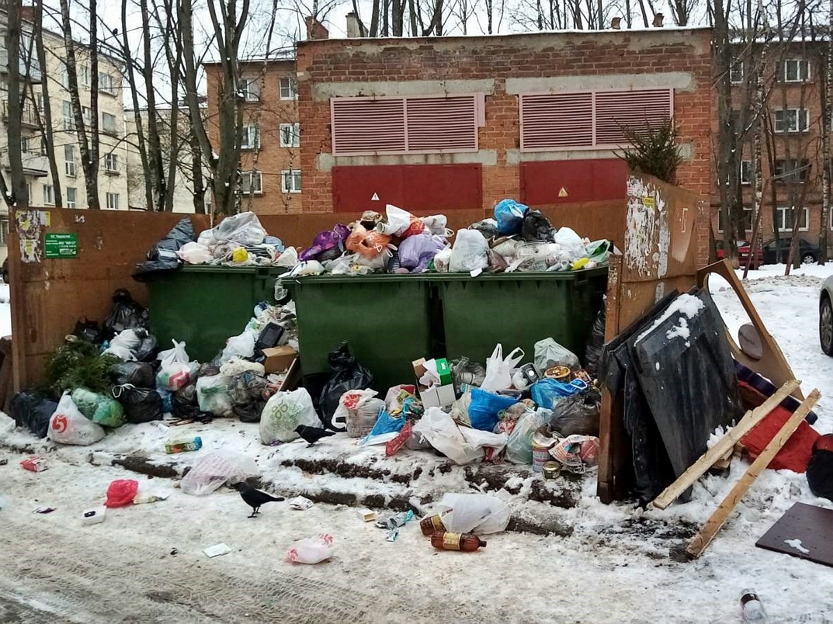 Куда владимирцам жаловаться, если мусор во дворе не вывозят, а контейнеры  убрали - KP.RU