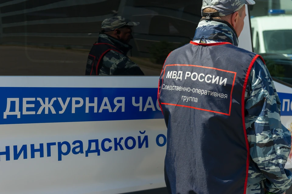 У пенсионерки из Сосново украли копию картины Ренуара.