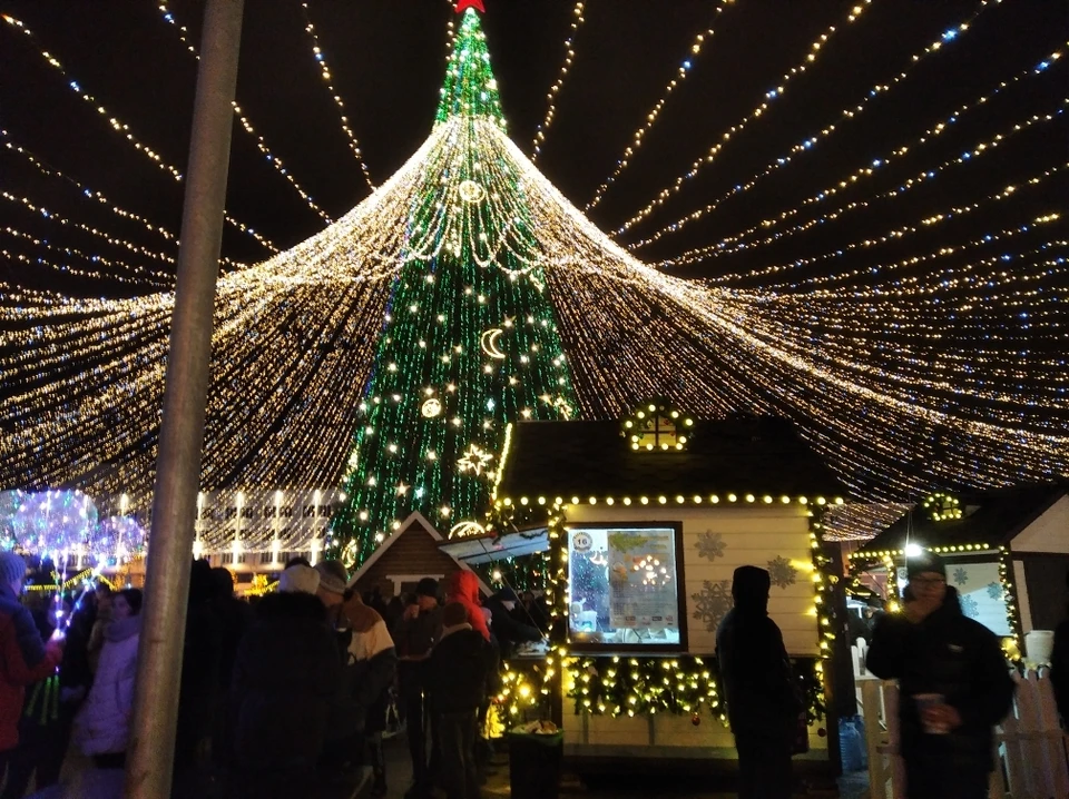 Главную новогоднюю елку Белгорода начнут разбирать 15 января.