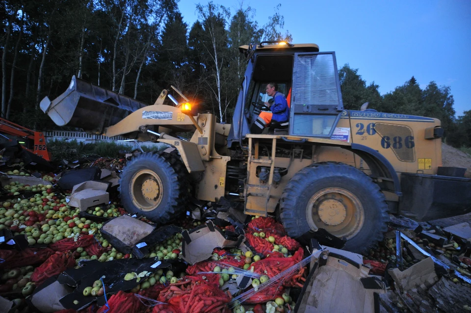 За год в Омске уничтожили 118 тонн фруктов.