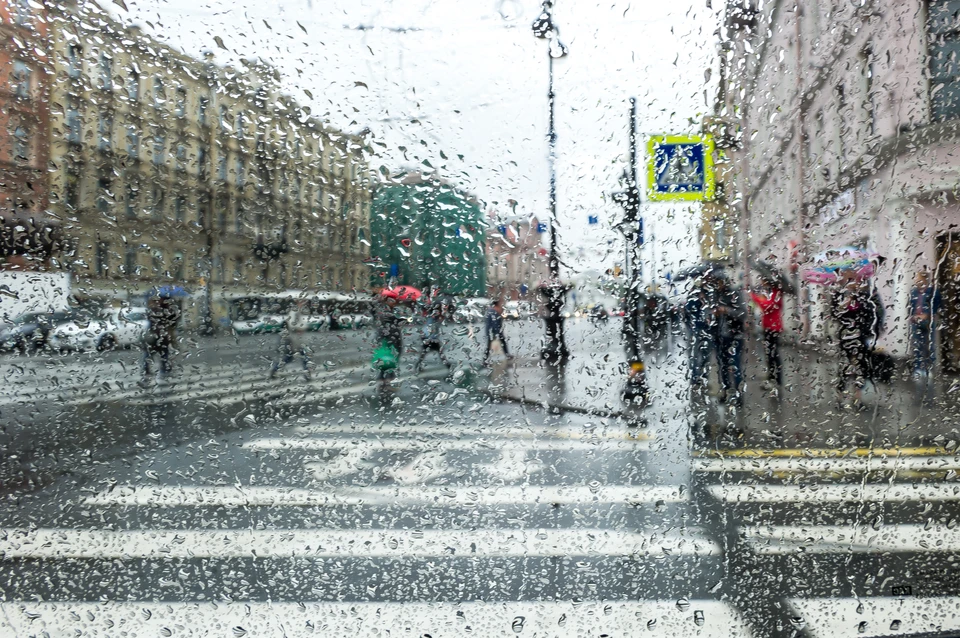 19 января 2020 года в Петербурге будет тепло и дождливо.