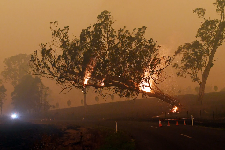 Пожары на территории Австралии могут повлиять экологию на планеты в целом и привести к температурным изменениям