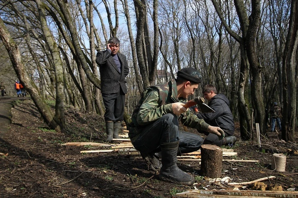 В Свердловской области больше всего «черных лесорубов»