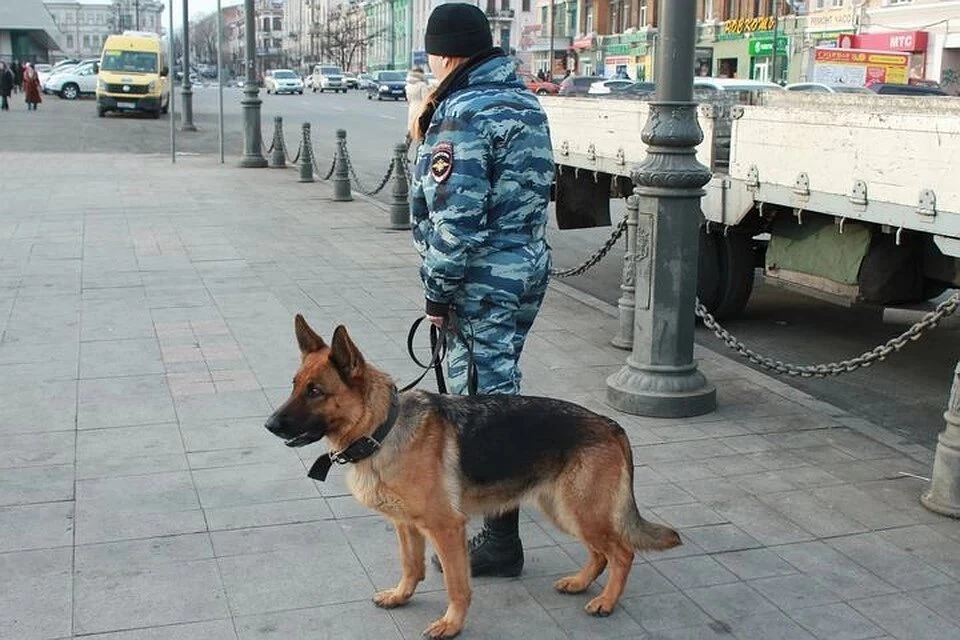 Ни в одном из 19 «заминированных» детских садов бомбы найдены не были