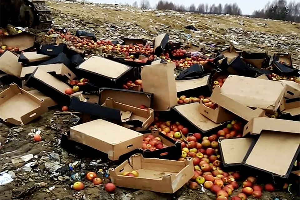 Яблоки ввозили в наш регион, минуя официальные контрольные посты.