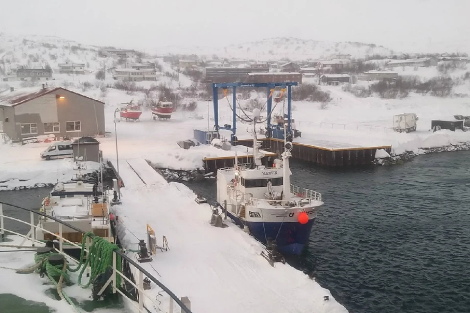 Путешественнику дали временный кров добрые моряки. Фото: Елена Ястребова