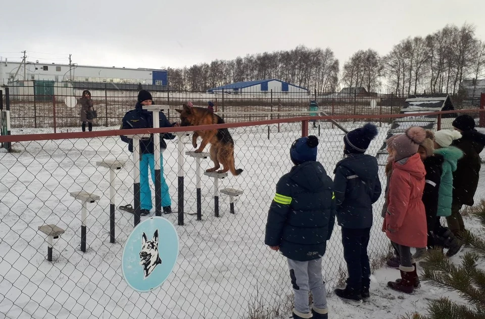 Фото пресс-службы МЧС России по Белгородской области.