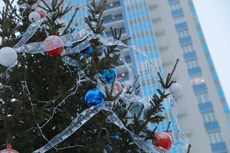 Новогодние елки начали разбирать в Красноярске.
