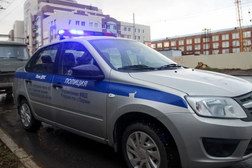 Подозреваемого взяли под стражу.