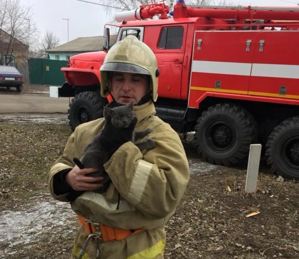 фото: пресс-служба ГУ МЧС России по Белгородской области.