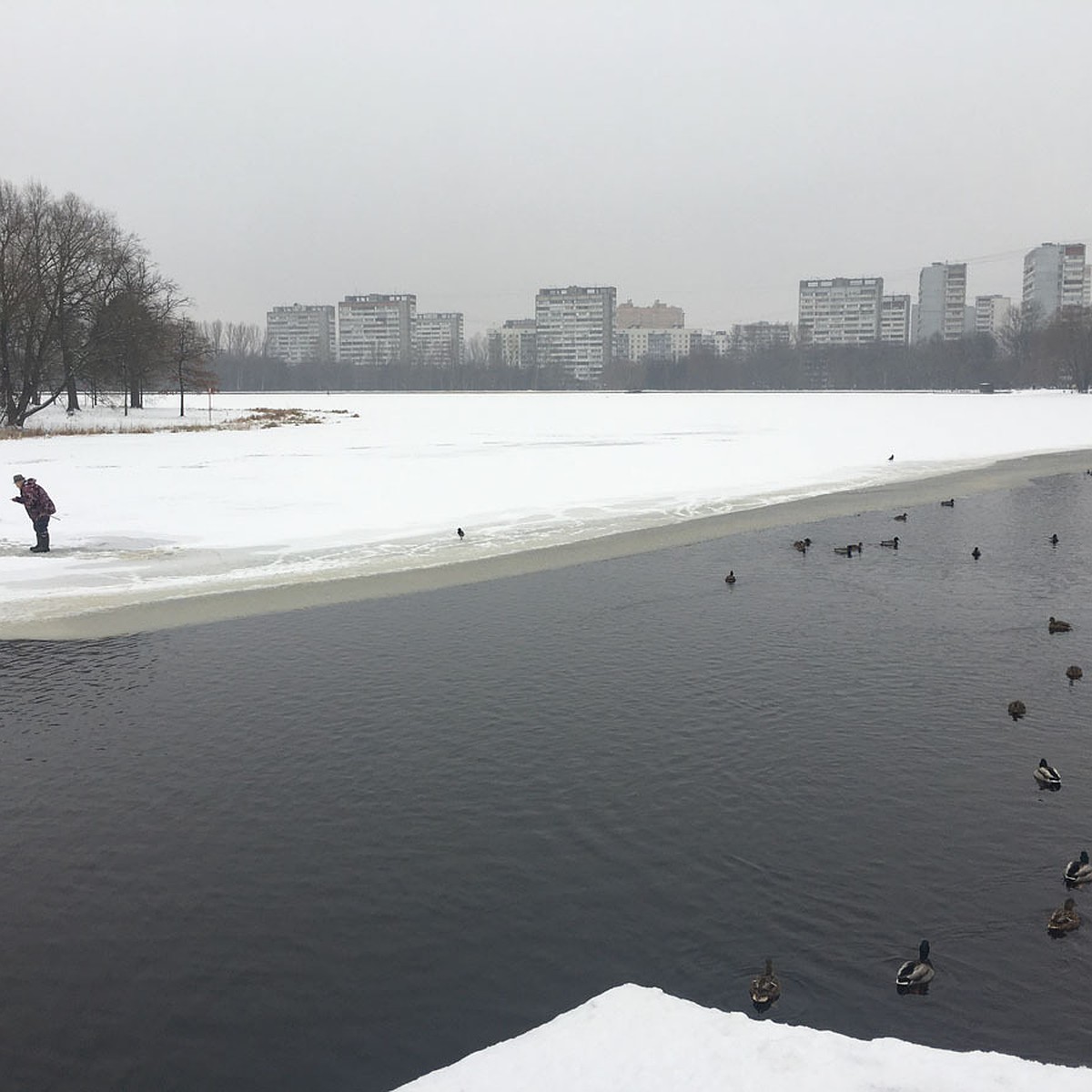 Лед на прудах в Москве тает, но рыбаки сидят возле лунок до последнего -  KP.RU