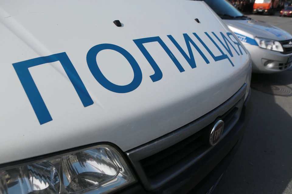 12-летнюю петербурженку сексуально развратили прямо в машине возле ее дома