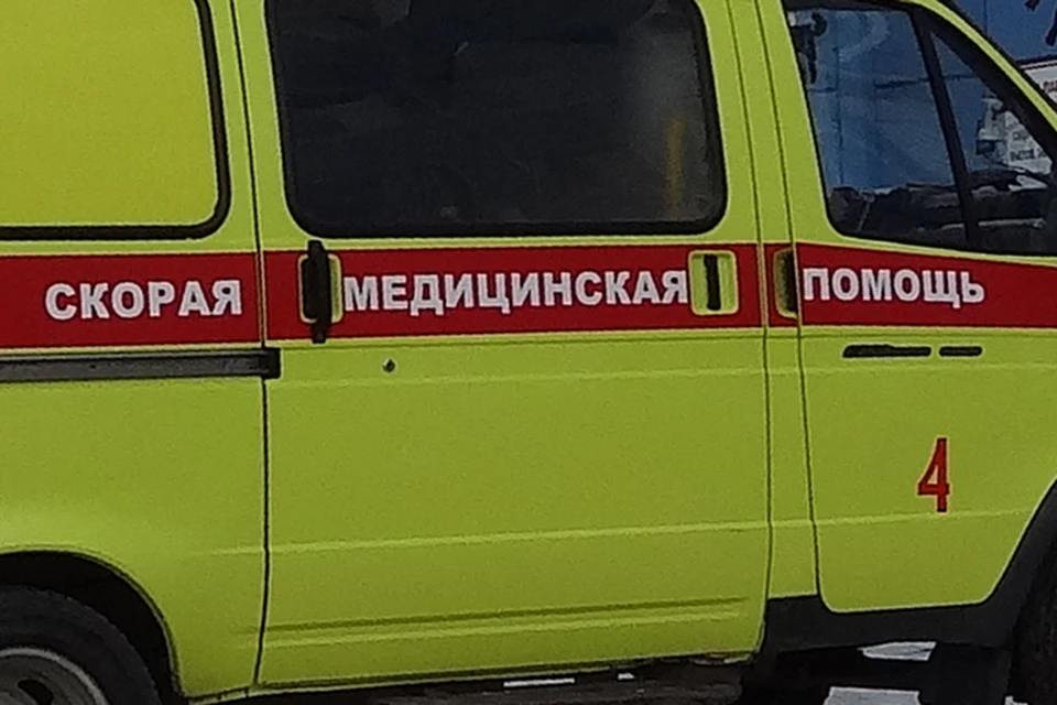 В Тюмени малышка засунула в нос игрушечный корм для собак.