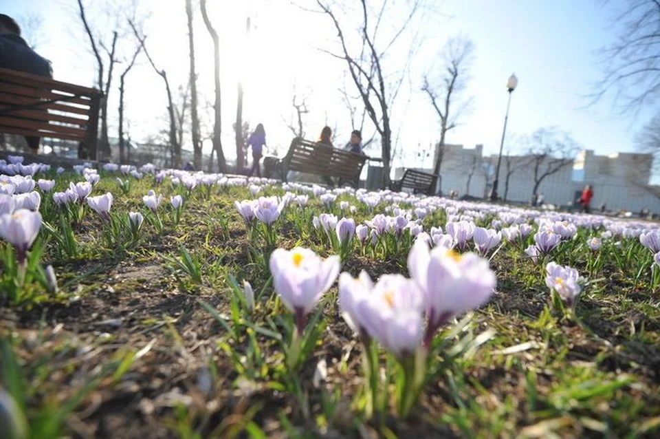 Фото весеннего утра в городе