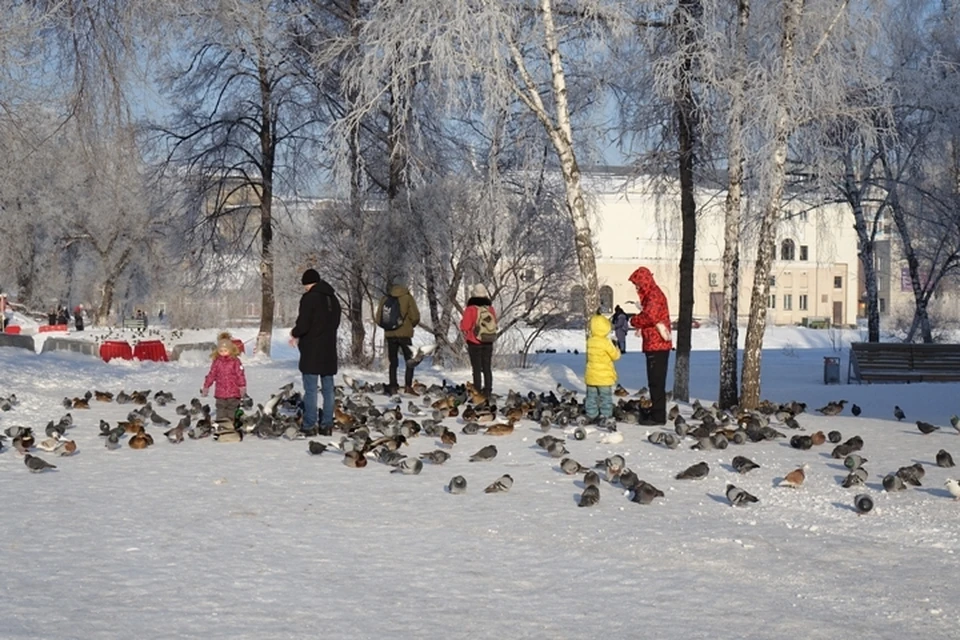 До -28 градусов похолодает на неделе в Кузбассе