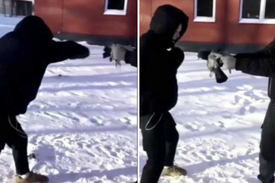 В Карелии подростки избили мертвую ворону и сняли это на видео. Фото: vk.com/stolptz