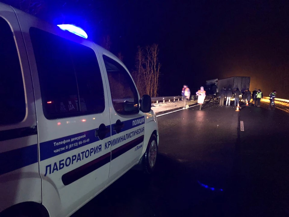 Фото: пресс-служба УМВД России по Псковской области.