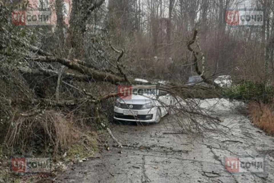 Фото ВК "ЧП Сочи"