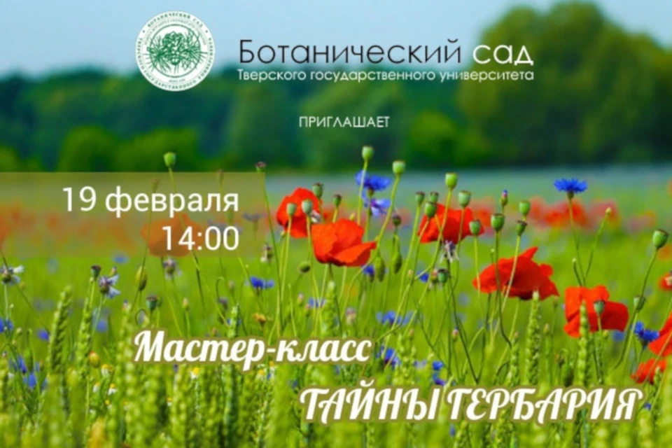 Мастер-класс пройдет 19 февраля в Ботаническом саду ТвГУ. Фото: Ботанический сад ТвГУ