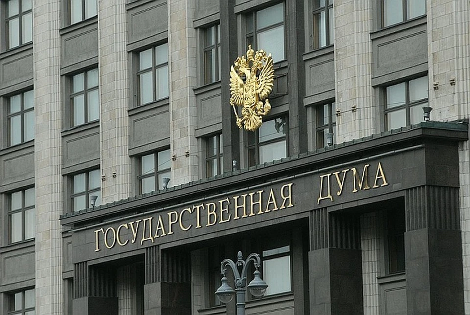 Изначально авторы закона выступали за отмену наказания за использование запрещённой символики и атрибутики в произведениях искусства, науки, литературы и СМИ