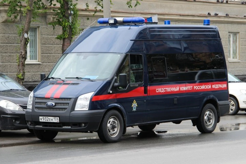 Малышку с переломом черепа отправили в пермскую краевую детскую клиническую больницу.