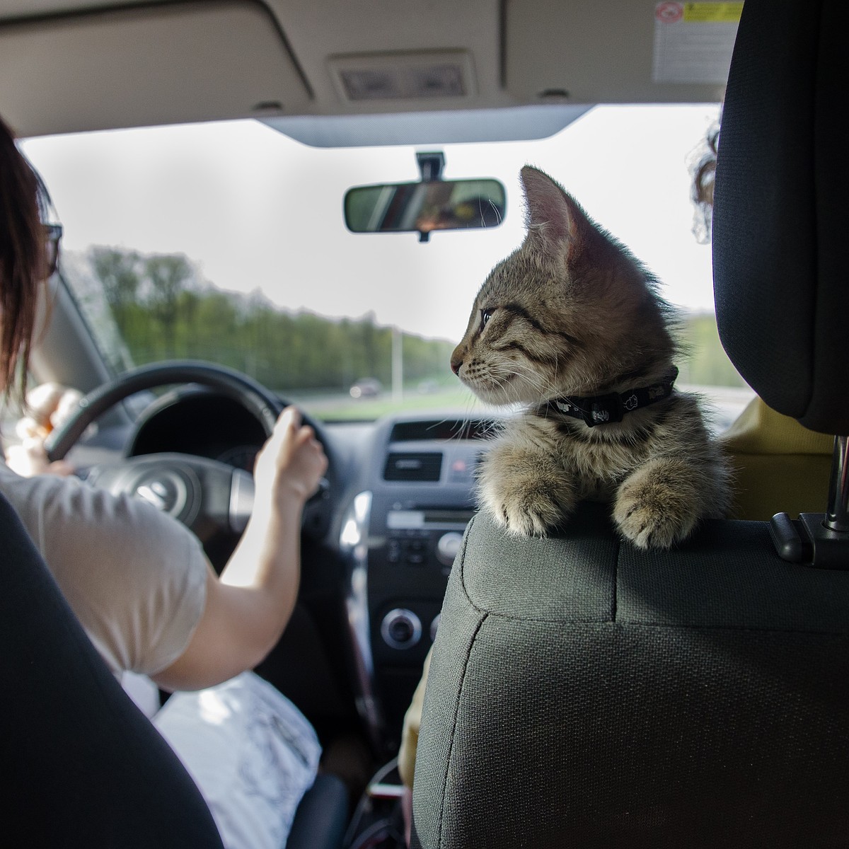 В Крыму перестал работать BlaBlaCar - KP.RU