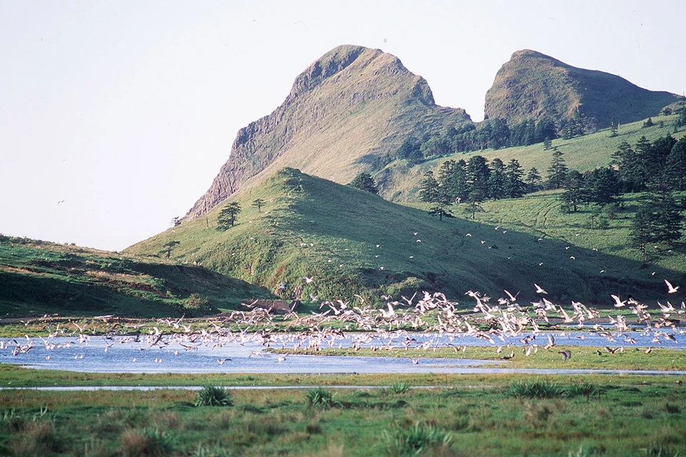 Красоты острова Курильской гряды Кунашир. Фото: ИТАР-ТАСС