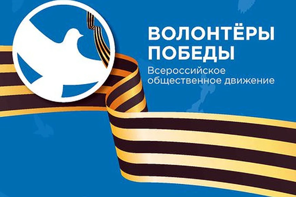 Волонтерство победы проект