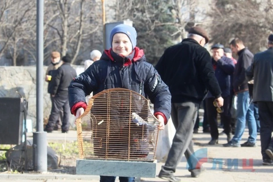 Посмотреть птиц пришли сотни луганчан с детьми. Фото: Луганский информационный центр