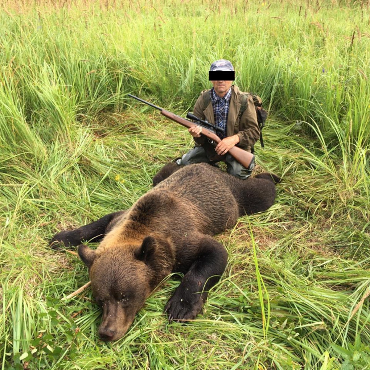 Пытался вывезти тушу исчезающего медведя в авто: казахстанца задержали в России