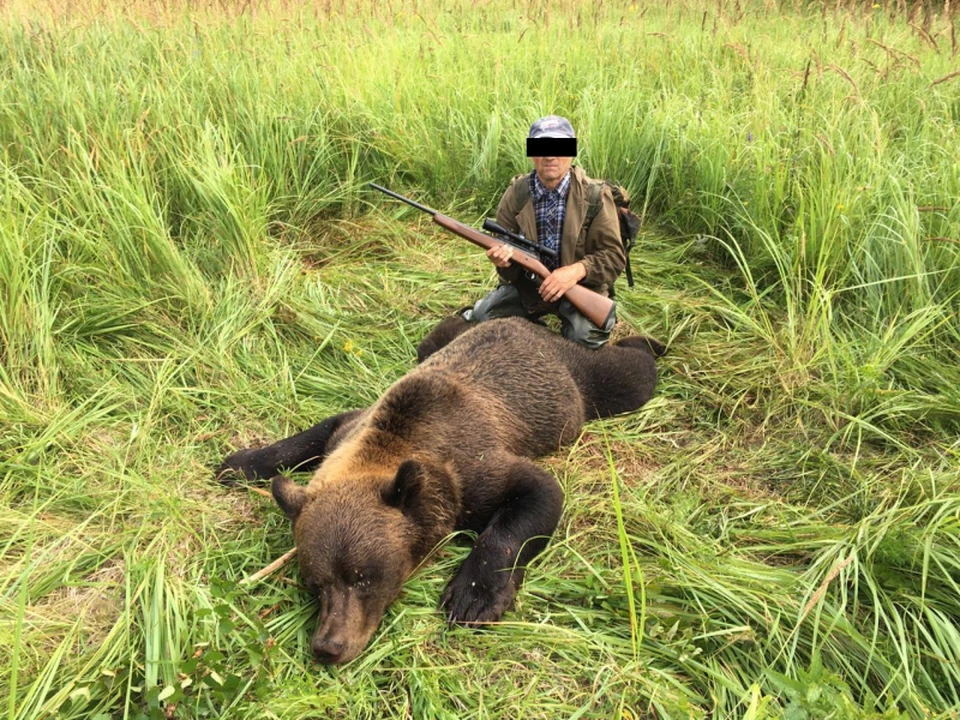В Казахстан не впустили машину с разделанной тушей медведя в багажнике