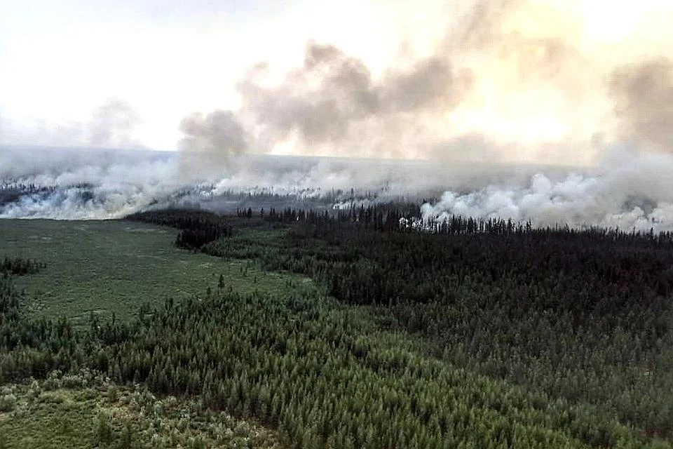 Горящая тайга в республике Саха (Якутия), август 2019 г.