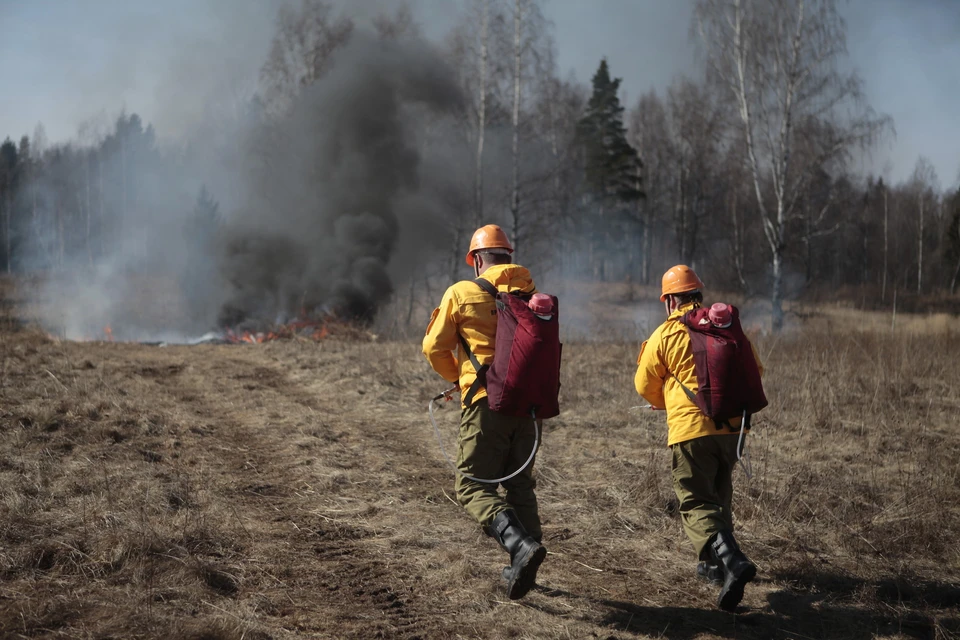 Такие встречи помогут объединиться пожарным-добровольцам Псковской области и спасать нашу природу.