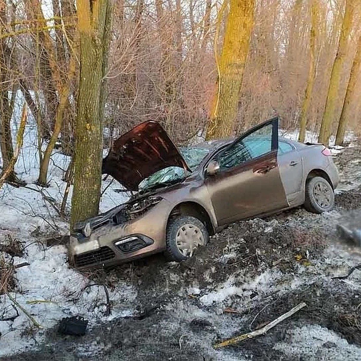 Смерть водителя и травмы пассажиров: ДТП прошедшей недели в Удмуртии - KP.RU