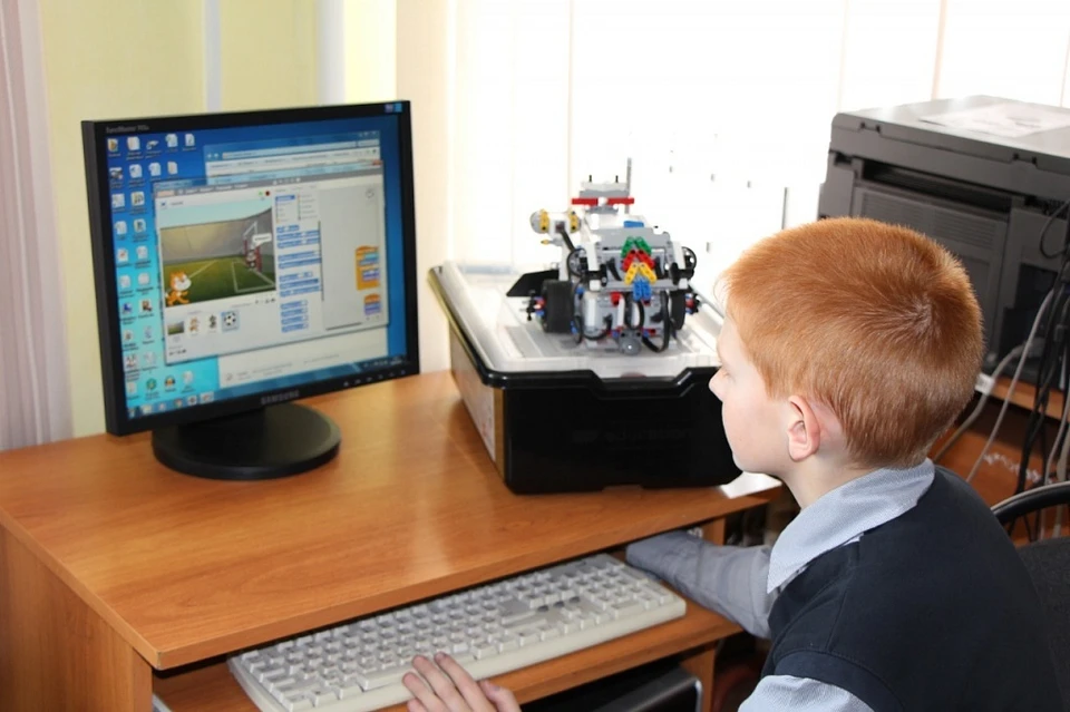 Школьники занимаются на онлайн-площадках, рекомендованных минобрнауки области. Фото: amurobl.ru