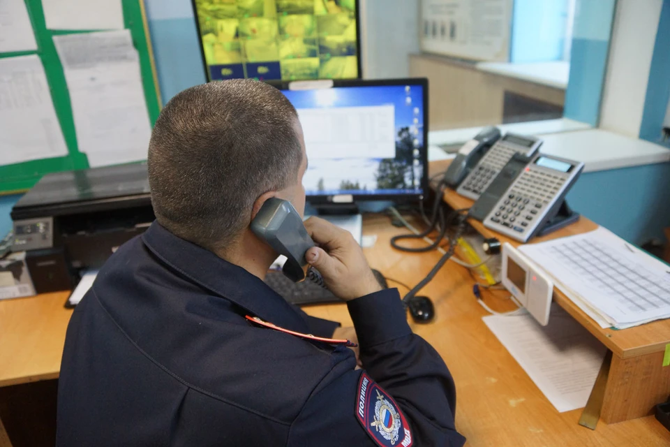 Решается вопрос о возбуждении уголовного дела по статье «Жестокое обращение с животными».