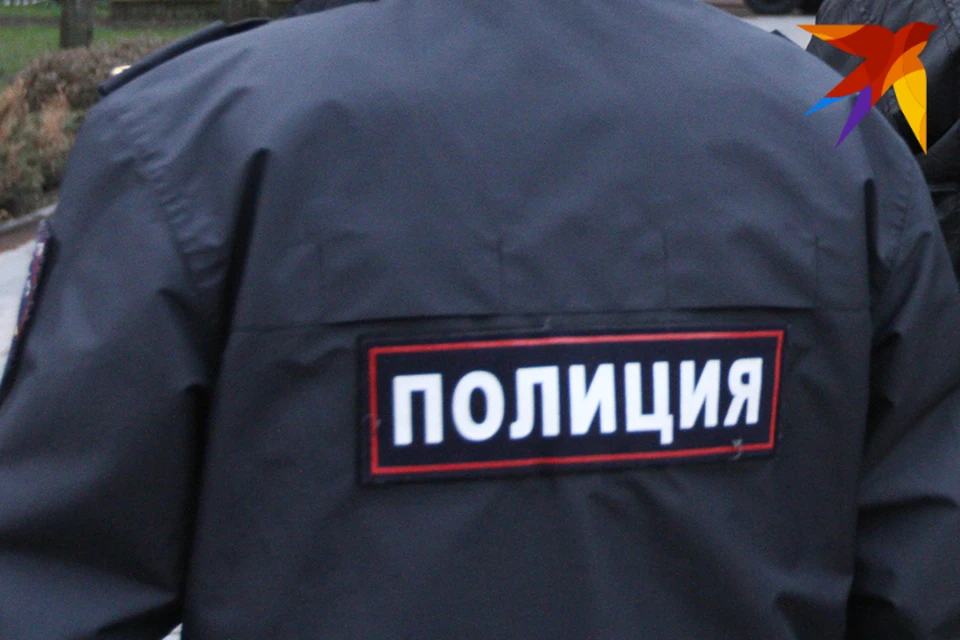 Мужчине грозит до пяти лет колонии за кражу.