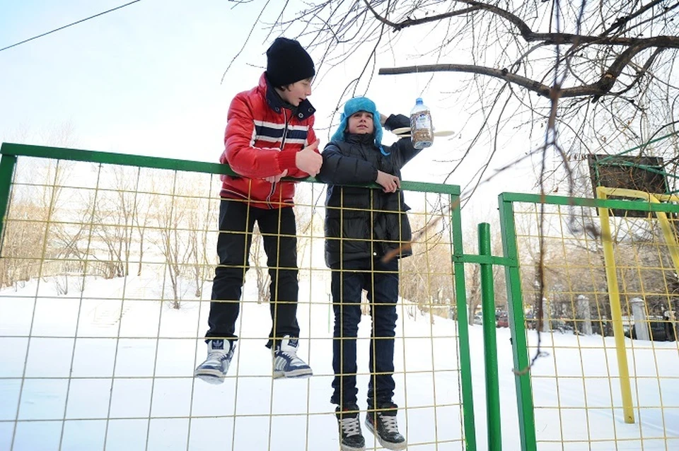 Свердловские приставы заставили администрацию школы установить забор, чтобы не пускать посторонних