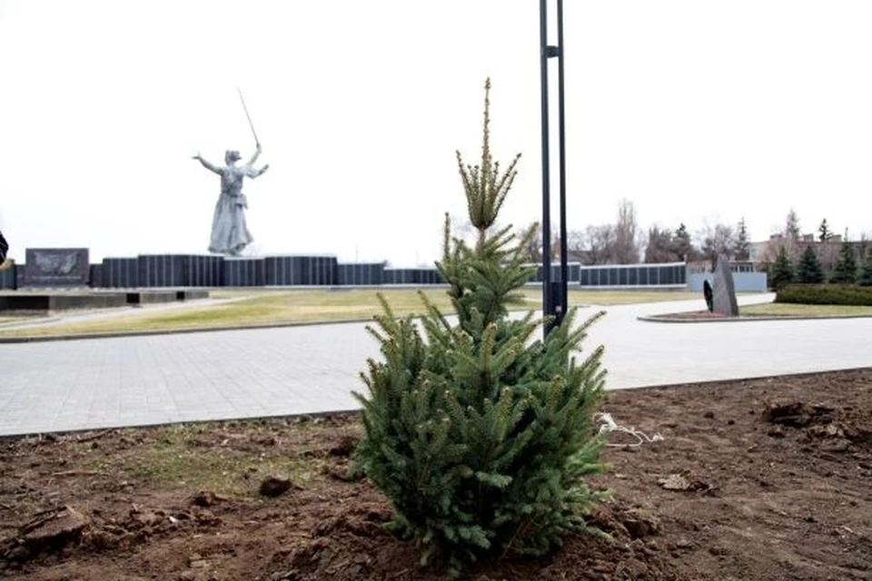 Фото музея-заповедника «Сталинградская битва».