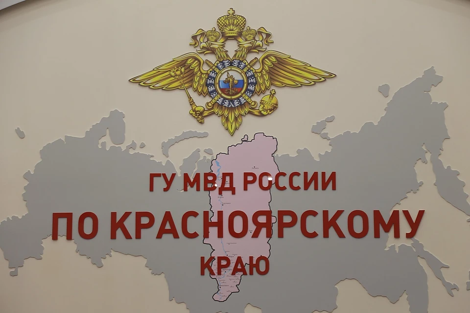 Красноярским иностранцам разрешили продлить визу