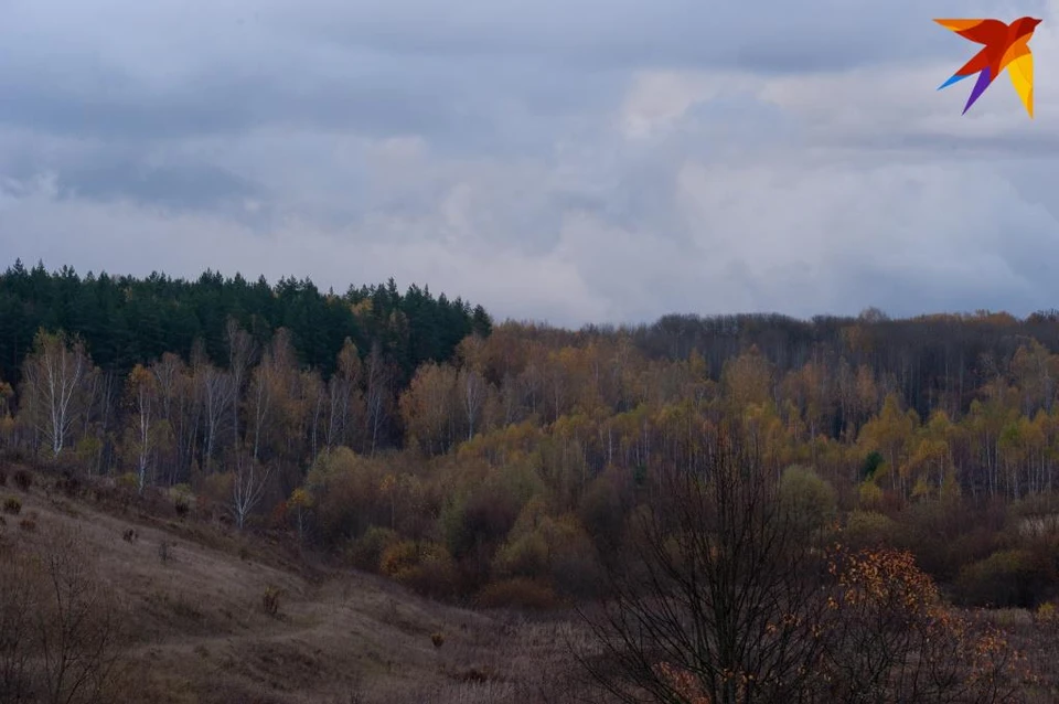На Орловщине ввели режим боевой готовности против лесных пожаров