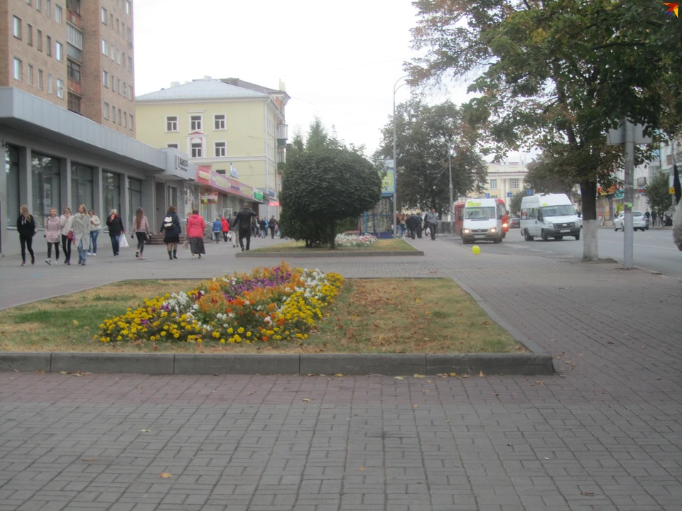 Курянам не советуют выезжать за пределы региона