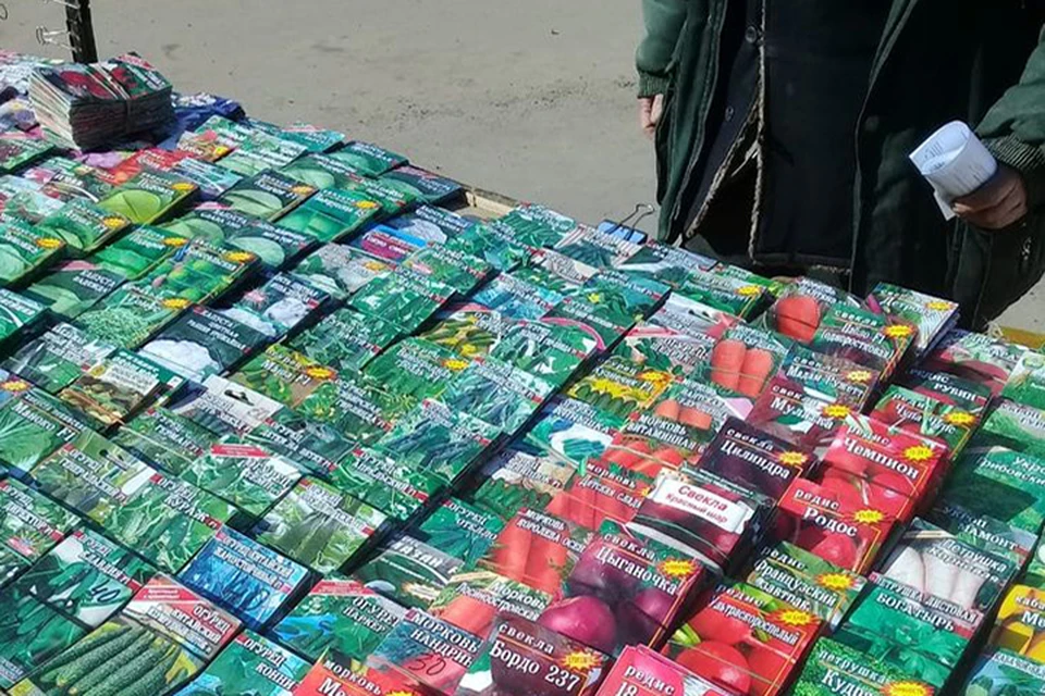 На рынках в Тверской области торговали невсхожими семенами Фото: Управление Россельхознадзора по Тверской области