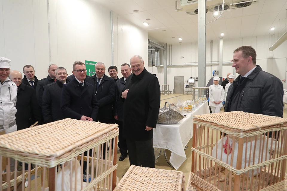 Александру Лукашенко подарили петуха и четыре курицы. А также инкубатор. Все эти подарки для президентского подворья. Фото: БелТА