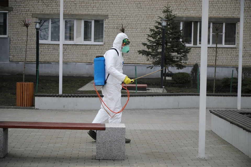 В обработке применяют раствор на основе хлора, работу проводят как вручную, так и с помощью спецтранспорта, который распыляет раствор на наиболее масштабные поверхности