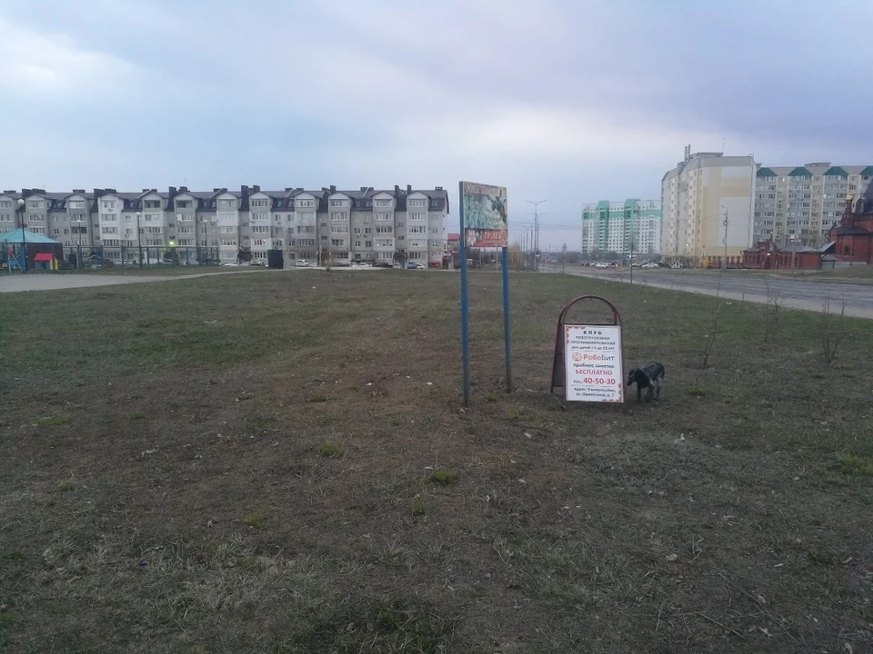 На пустыре пока только несколько саженцев и плакат. Фото Юрия Сотникова